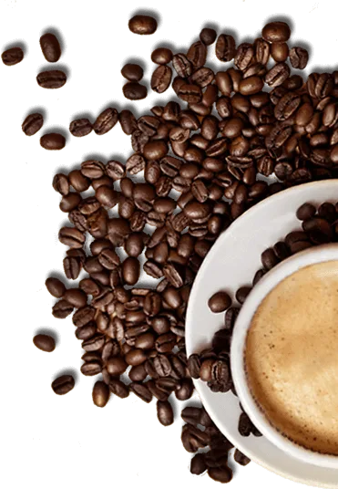 米乐体育